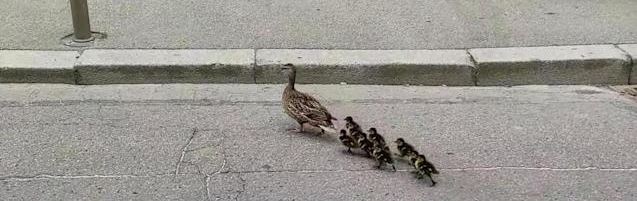 [Photo] Street Photography : 10 clichés insolites vus sur&nbsp;Instagram