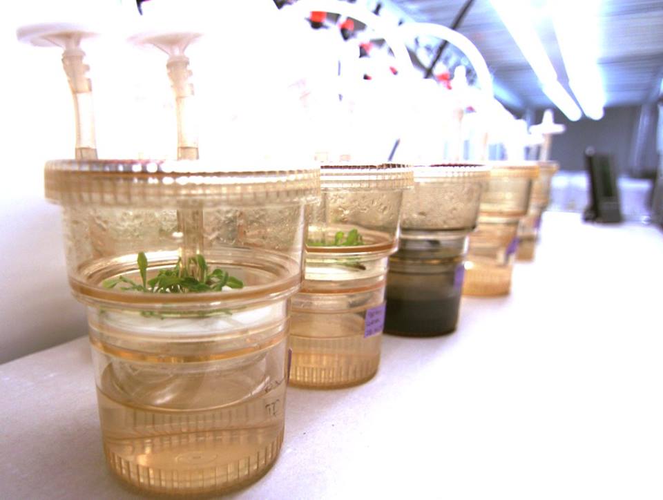 13428481_1559848490983328_8803836371793235045_n