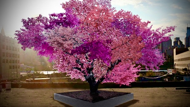 [Ecologie] 7 fun&nbsp;facts