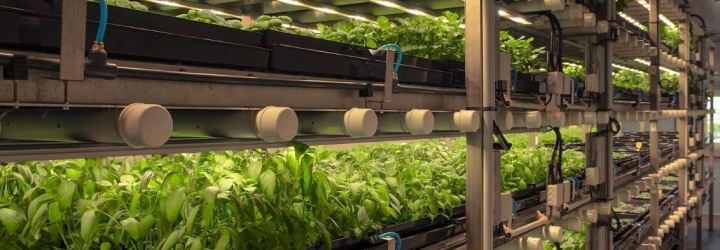 [RSE] Quand les grands groupes innovent et agissent en 2020 ♻️ Monoprix, Haier, SAP &&nbsp;Salesforce