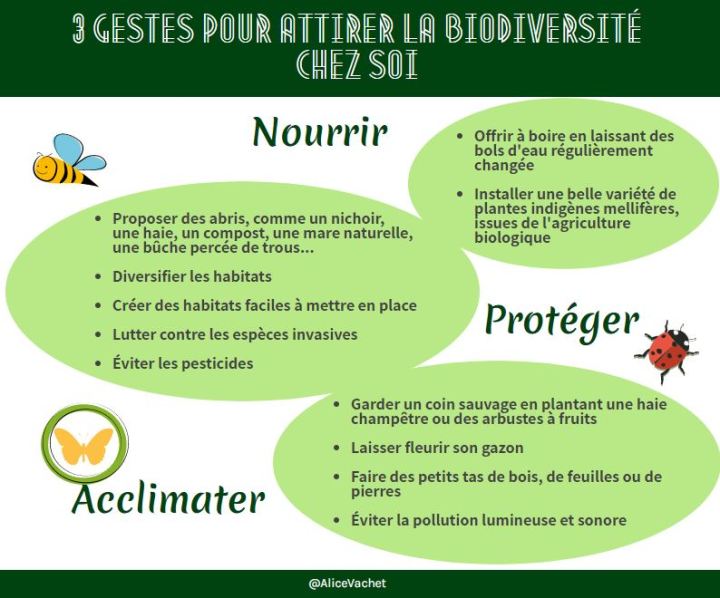 [Eco-gestes] 3 façons d&rsquo;attirer la biodiversité chez&nbsp;soi