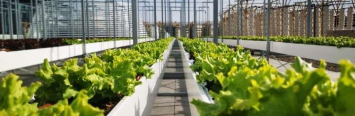 [Ecologie] 100 innovations insolites de ces 20 dernières années ♻️ The Edge, Nature Urbaine &&nbsp;EcoHelmet